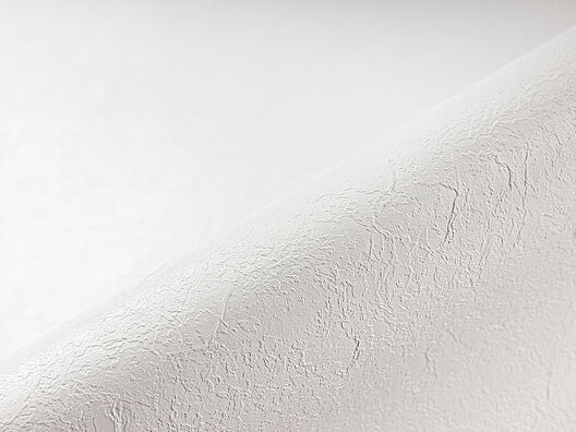 Renolit Alkorplan RELIEF Trittschutzfolie per lfm = 1,65m² weiß